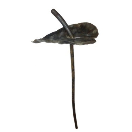 Kwiat kuty KARANT01.1